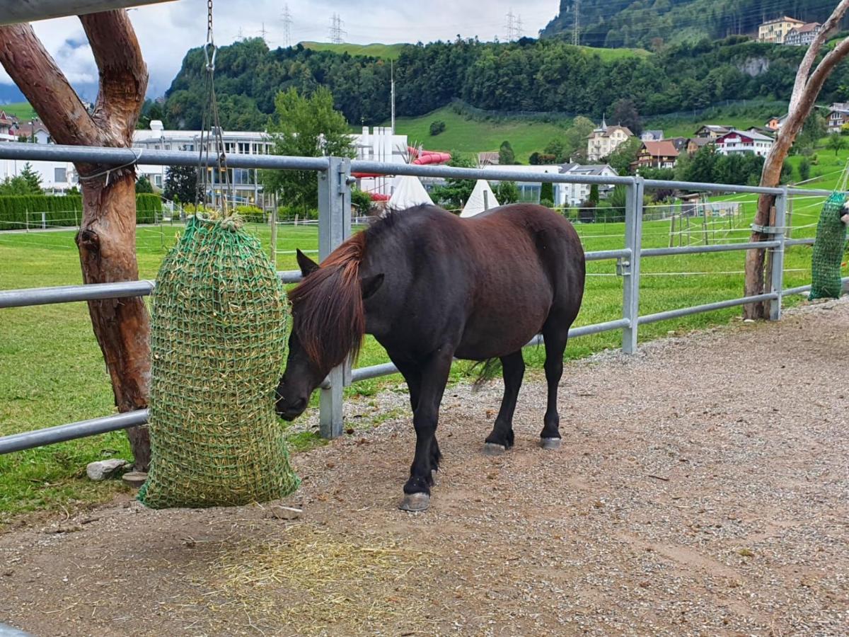 Priv. Apartment Bei Swiss Holiday Park Morschach Eksteriør billede